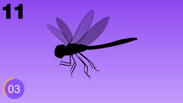 Guess the INSECTS from Their Shadow | Quiz Game for Kids, Preschoolers and Kindergarten смотреть онлайн
