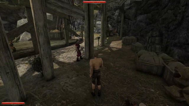 Die Welt der Verurteilten ⛏ Gothic Mod • Unter Verbrechern • 01 смотреть онлайн