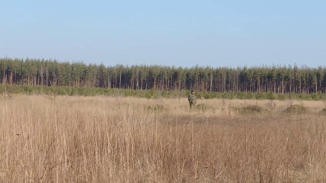 Ловля полевого жаворонка на участке провиской 12042014 смотреть онлайн