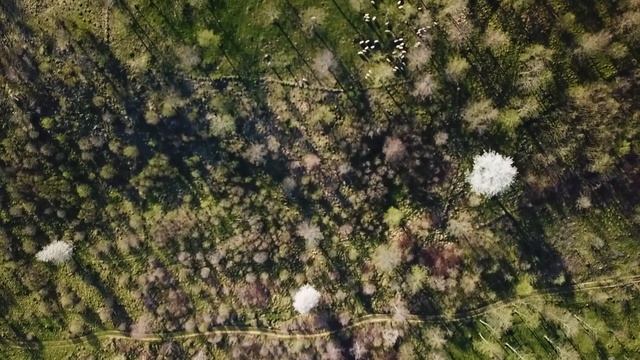 OVERLAND RUMUNIA I VANLIFE I Ford Transit AWD I Szybki wypad do Maramureszu I Wklejka 4x4 смотреть онлайн