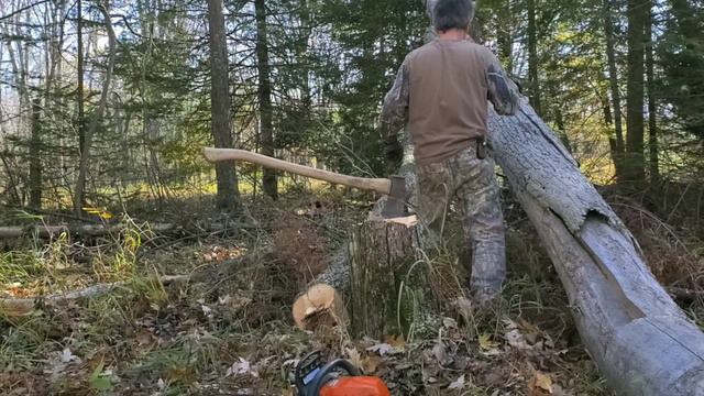 Filling woodshed for Winter survival #GatheringFirewood смотреть онлайн