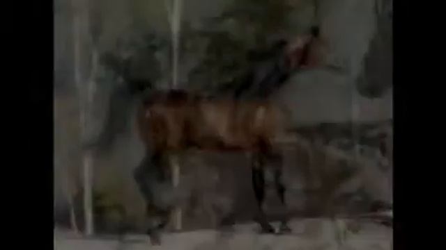 Лошади смотреть онлайн