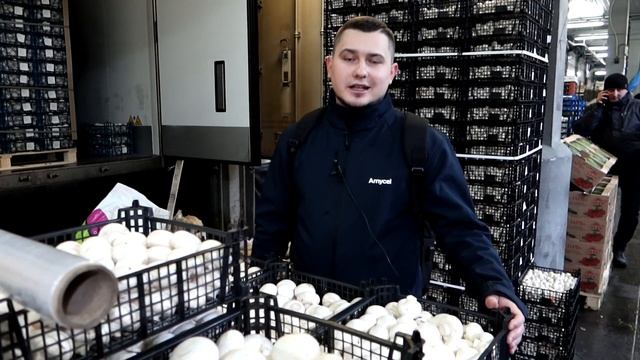 Канал "Делу время" в "ФУД СИТИ" смотреть онлайн