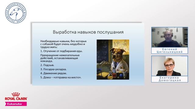 Часть 3. Простые правила воспитания щенка № 1 | РКФ детям смотреть онлайн