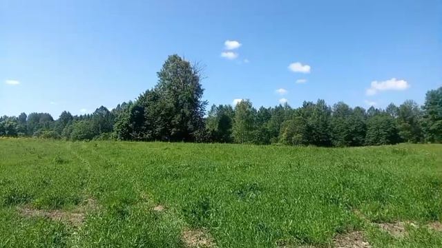 Проверка ловушек по маршруту 1 смотреть онлайн