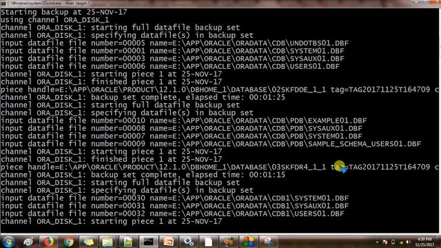 How to take backup of container & Pluggable database-Oracle 12C Administration смотреть онлайн