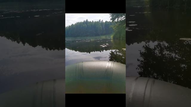 Некоторые фото с реки Суворощь немного половил смотреть онлайн