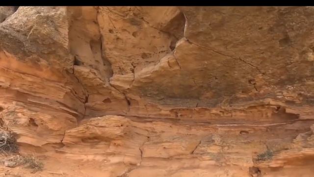 "Неизвестный цветок"-пересказ сказки-быль А.П.Платонов. смотреть онлайн