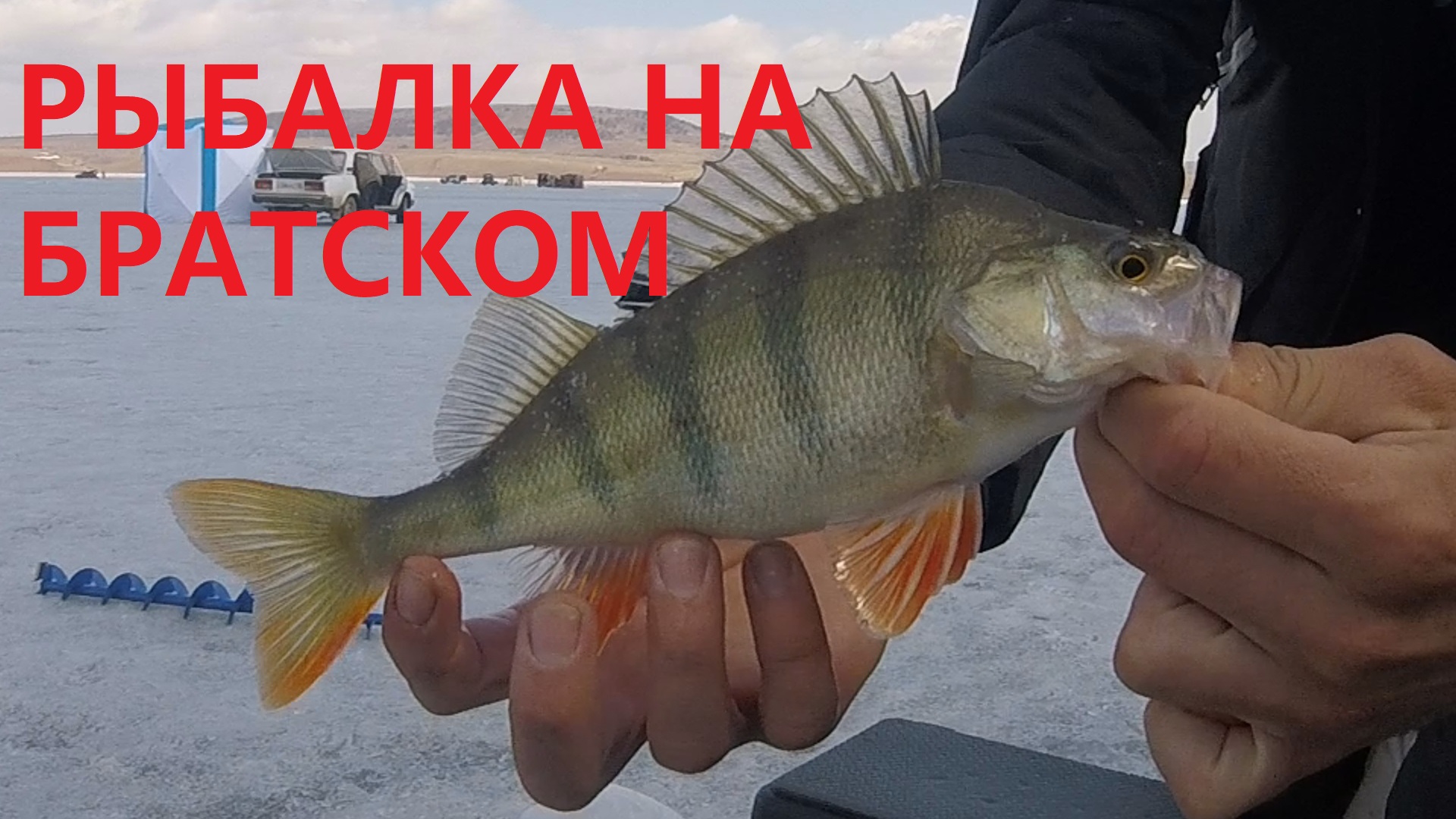 Ловим окуня на Братское водохранилище. смотреть онлайн