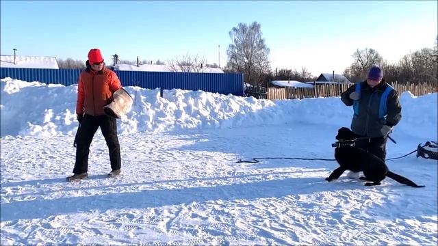 Ажан, 12 месяцев смотреть онлайн
