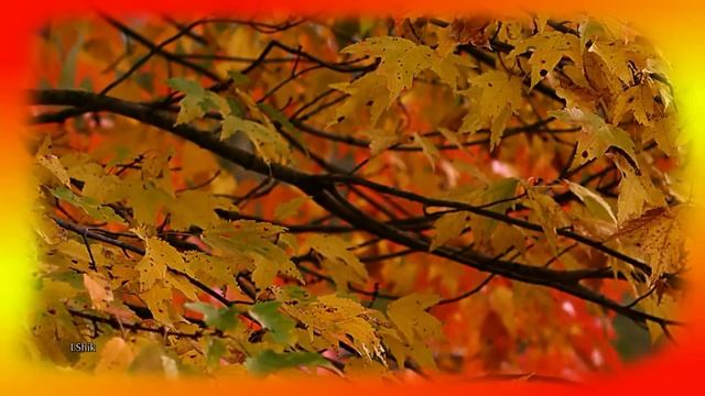 Осенняя мелодия Autumn melody смотреть онлайн