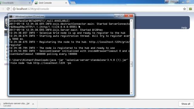 Selenium Grid | Command line | Setup смотреть онлайн