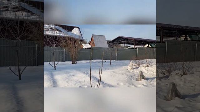 24 февраля 2022 год. Приезд на дачу друга смотреть онлайн