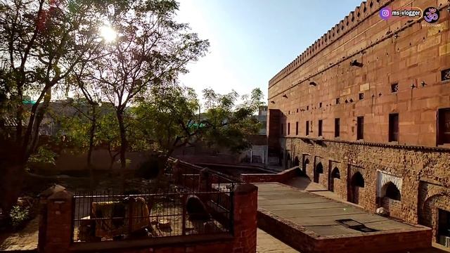 Agra Budget Tour Itinerary | How To Explore Agra | Agra Tour Information By MSVlogger