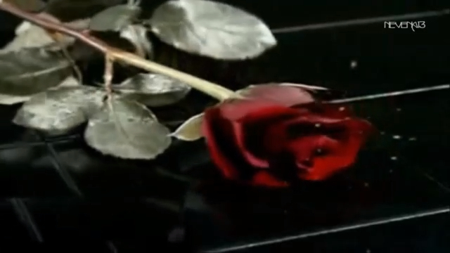 Savage Rose - For Your Love_x264 смотреть онлайн