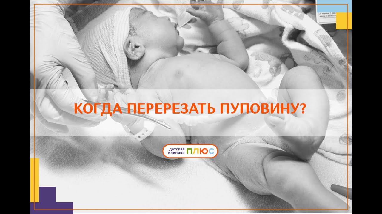 Когда перерезать пуповину? смотреть онлайн