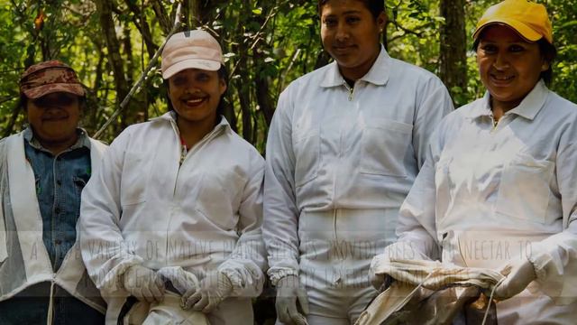 Hibiscus Lemonade | Health Benefits