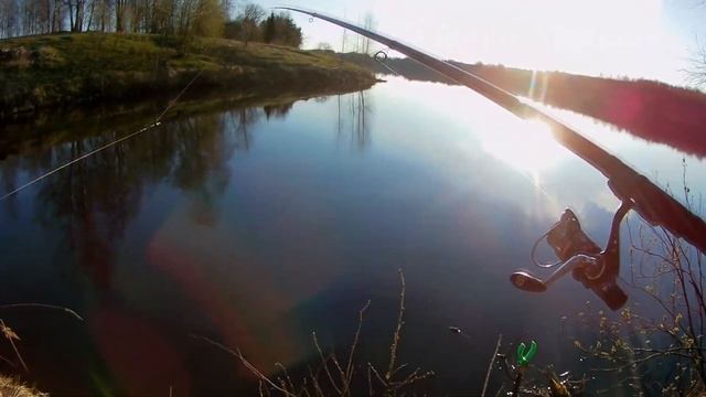 Осуга. Атака уклейки и встреча со змеёй смотреть онлайн