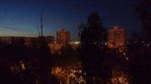 Птица как сигнализация автомобиля пищит ночью