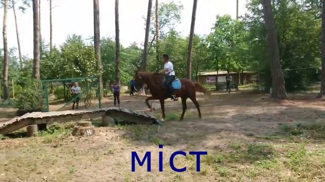 Соревнования по конному туризму - ТРЕК, Бобрица, 2018г. смотреть онлайн