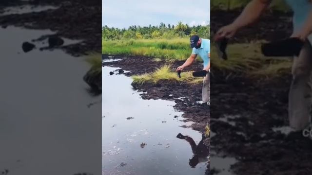 БОЛОТО | ПРОВАЛ | ЧУВАК ШАГНУЛ НЕУДАЧНО. смотреть онлайн