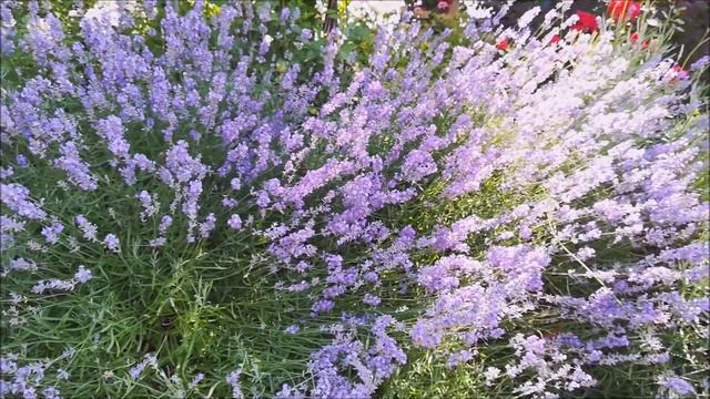 Советы по саморазвитию