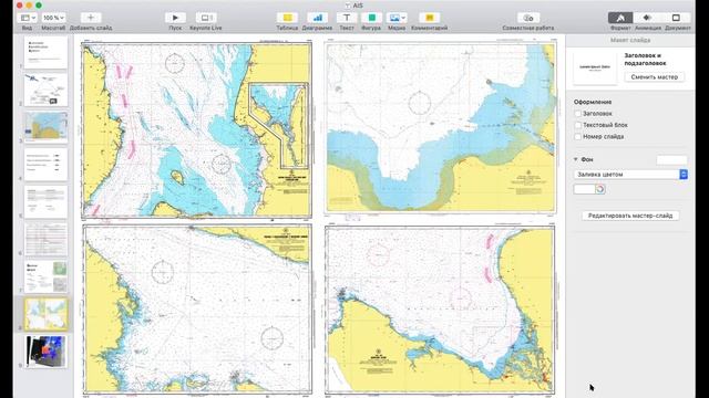 Система АИС и ее применение с РЛИ. Вебинар С. Зубкова, АО «ИЭПИ