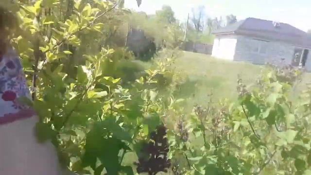 РЕЗУЛЬТАТ ТРЕНИРОВОК 2 МЕС. НАША ДАЧА 1 смотреть онлайн