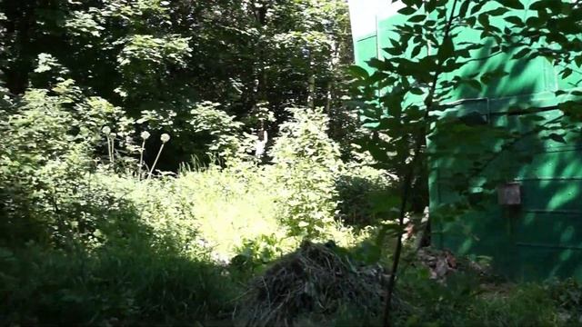 ГОЛУБЯТНИ МОСКВЫ.БИРЮЛЕВО - ВОСТОЧНОЕ смотреть онлайн