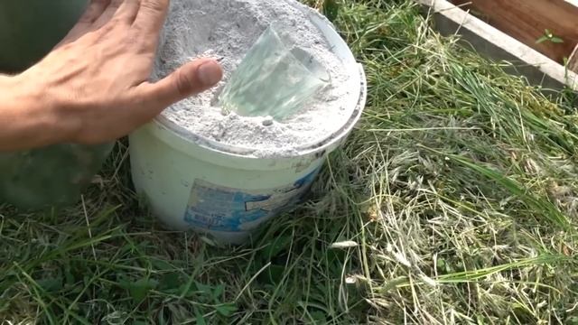 ТЕХНОЛОГИЯ ВЫРАЩИВАНИЯ ТОМАТОВ КАК В ОТКРЫТОМ ТАК И ЗАКРИТОМ ГРУНТЕ смотреть онлайн