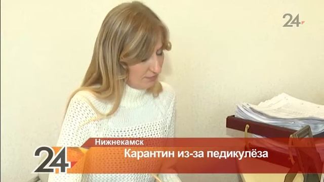 Из-за педикулеза в двух нижнекамских школах объявлен карантин смотреть онлайн