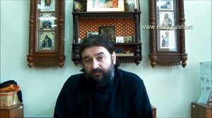 Если осуждают священника в моем присутствии прот. Андрей Ткачев. Елицы