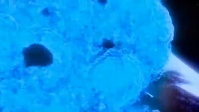 Аисты. Круто, круто, очень круто смотреть онлайн