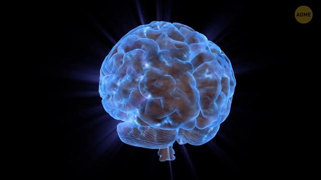 Раскрыта техника сна величайших гениев смотреть онлайн