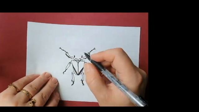 Рисуем жука-оленя, легко и просто смотреть онлайн