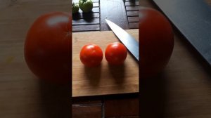 Томаты ОЛЯ F1! #натальялебедева #огород #помидоры #хорошовдеревнелетом #образжизни