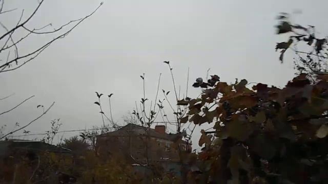 Виноград смотреть онлайн