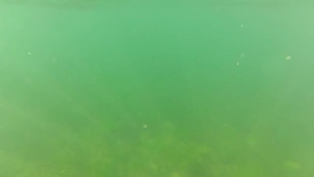 Охота на бычка Черное Море смотреть онлайн