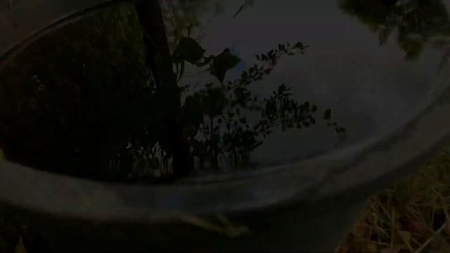 А река течет смотреть онлайн