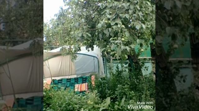 Лимонный сок/лимонная кислота смотреть онлайн