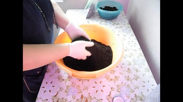 Огурцы на окне. Выращиваем зимой. Часть1 смотреть онлайн