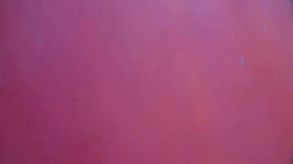 Mitsubishi Carisma I- открылся капот при движении(((((