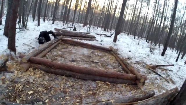 Строим СРУБ в Лесу Топором и Ножовкой | Дикий МОРОЗ | Валенки ОКОЛЕЛИ | -35°С смотреть онлайн