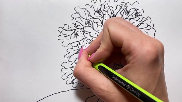 Как нарисовать Дерево ЛИПА/Простые рисунки из простых линий смотреть онлайн