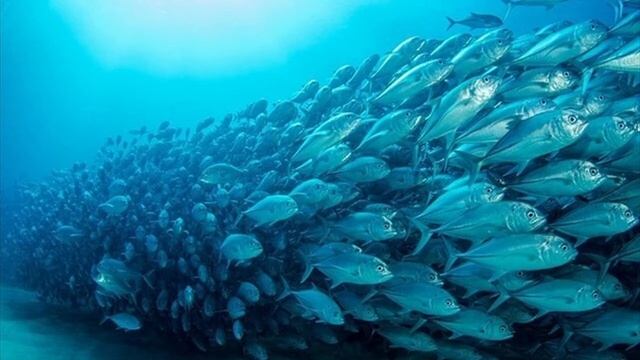 Музыка для отдыха Syphr -The Fog ( Music For Relaxation )