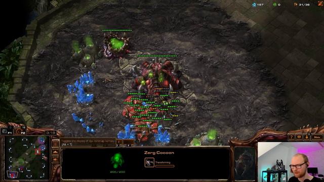 The BEST StarCraft II Zerg Cheese смотреть онлайн