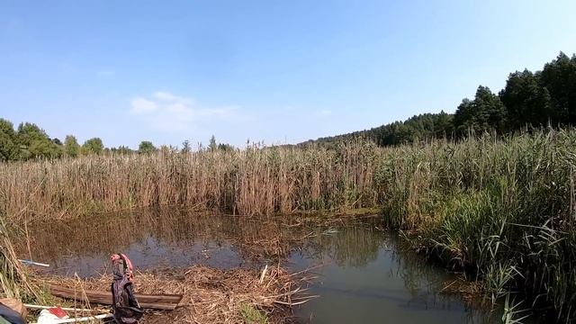 Построил мостик на самодельном озере и купаюсь! Озеро своими руками 8 смотреть онлайн