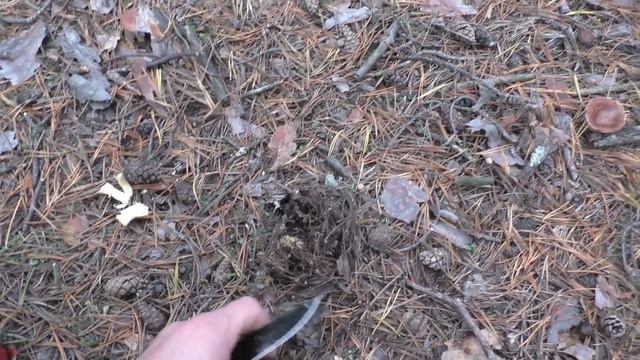 ОСТОРОЖНО! ОКАЗЫВАЕТСЯ ЗЕЛЕНУШКА ОПАСНА! ХОТЯ ВСЕГДА СОБИРАЛ! Прогулка с МАЛЫШОМ! смотреть онлайн