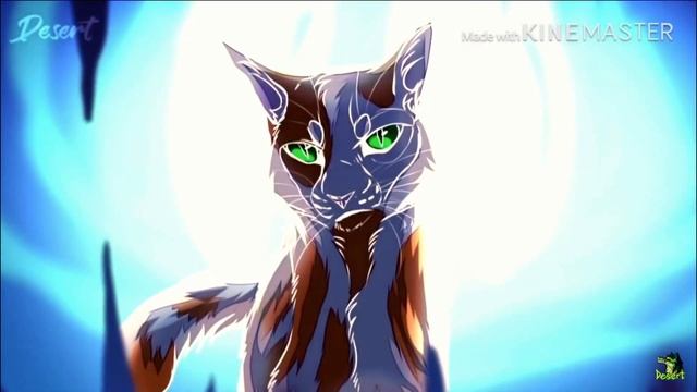 Долгий клип про котов воителей| ??| читаем описание, детки| Black cat :з| смотреть онлайн