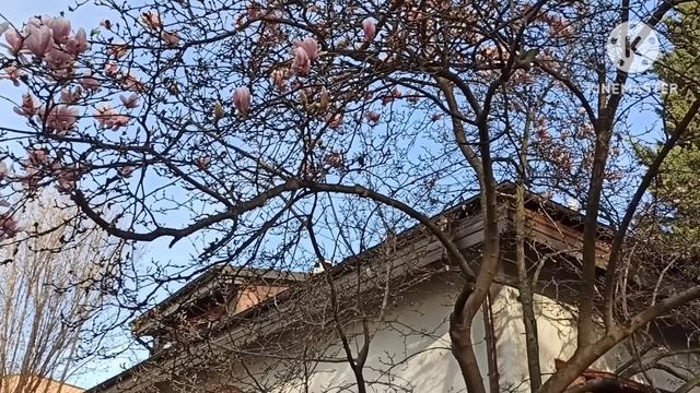 Лена Хеппи.Как всегда за 2 зайцами.Учиться на узиста или получить магистра по гидрогеологии смотреть онлайн